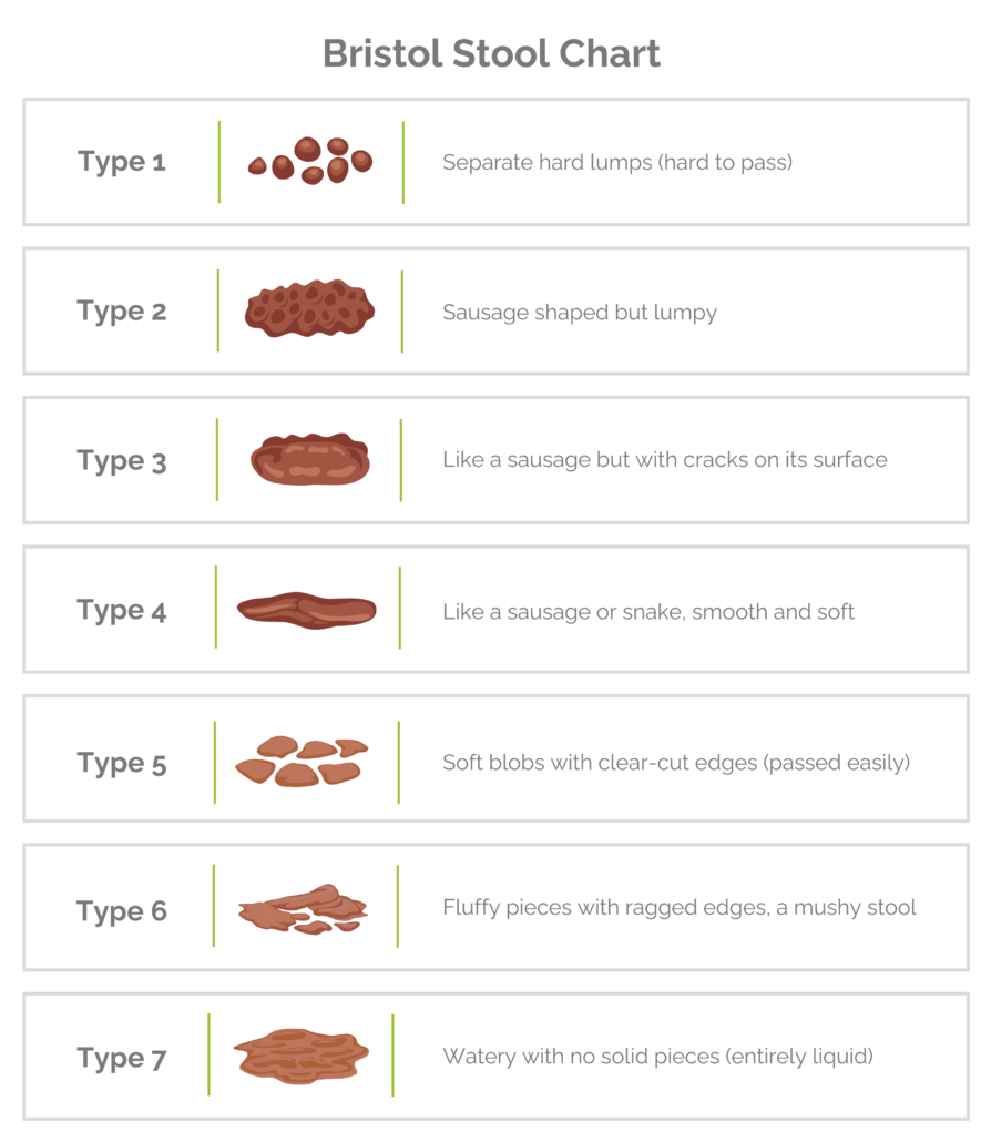 Bristol Stool Chart